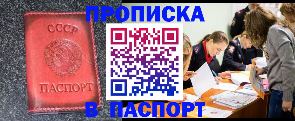 прописка для школы в Шебекино